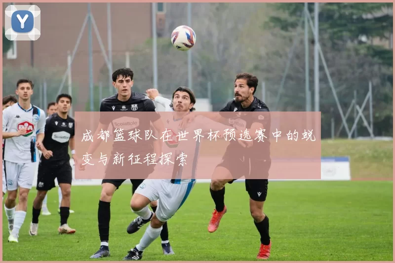 成都篮球队在世界杯预选赛中的蜕变与新征程探索