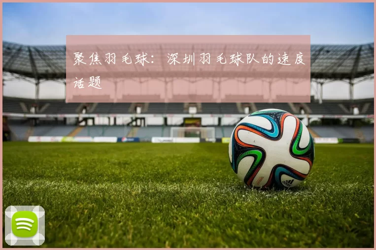 聚焦羽毛球：深圳羽毛球队的速度话题