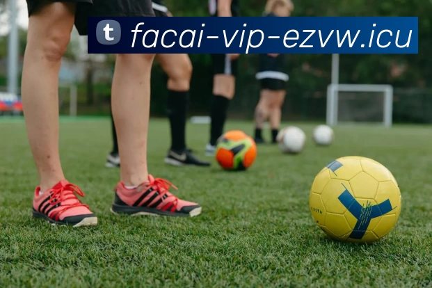 开云体育服务体系